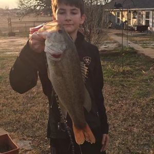 Meet your Posher, Hunter